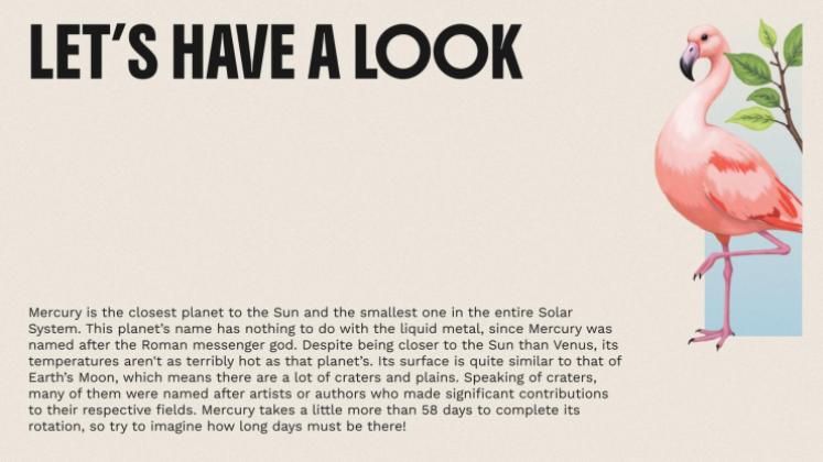 The World of Birds presentation template 