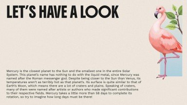 The World of Birds presentation template 