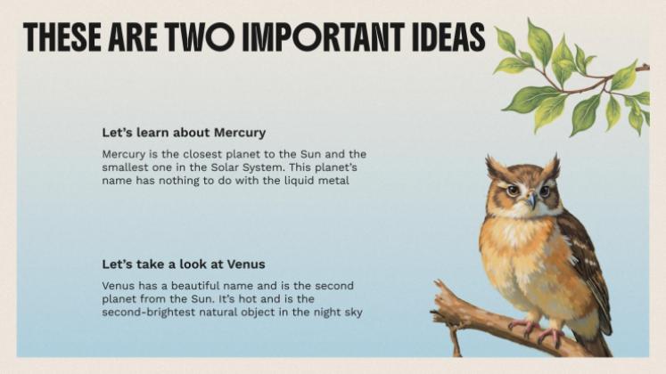 The World of Birds presentation template 