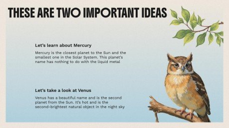 The World of Birds presentation template 