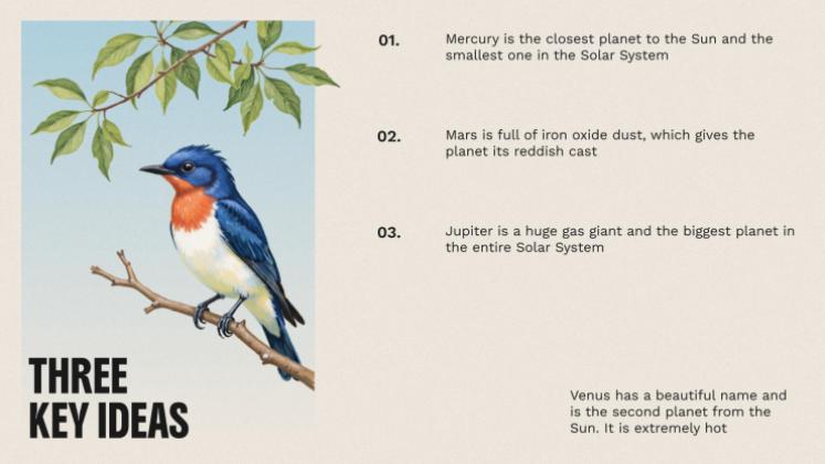 The World of Birds presentation template 