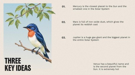 The World of Birds presentation template 