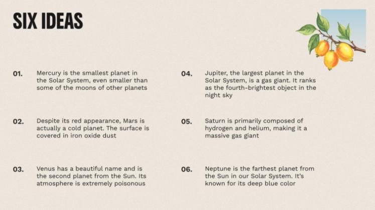 The World of Birds presentation template 