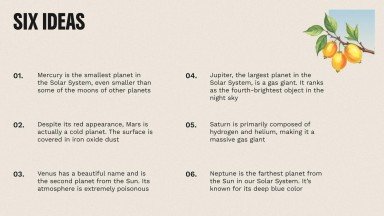 The World of Birds presentation template 