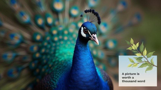 The World of Birds presentation template 