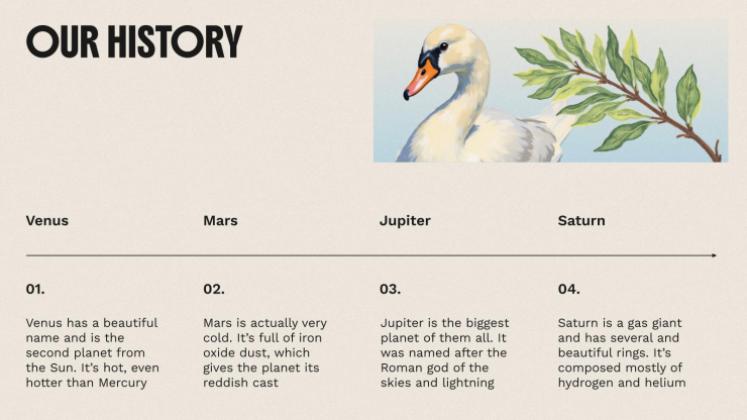 The World of Birds presentation template 