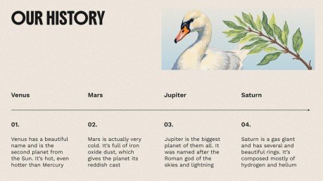 The World of Birds presentation template 