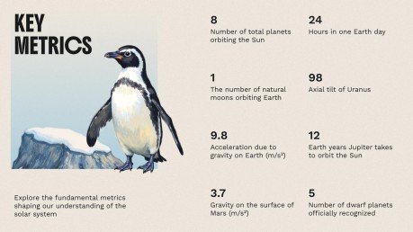 The World of Birds presentation template 