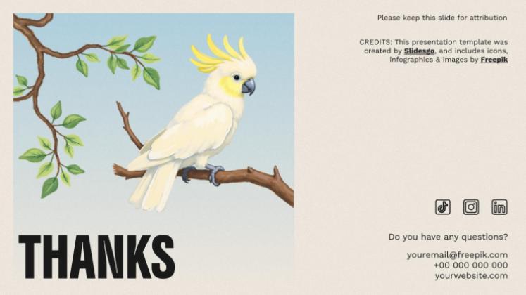 The World of Birds presentation template 