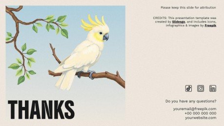 The World of Birds presentation template 