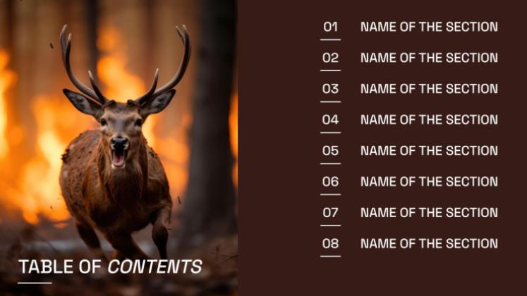 Plantilla de presentación Prevención de incendios forestales