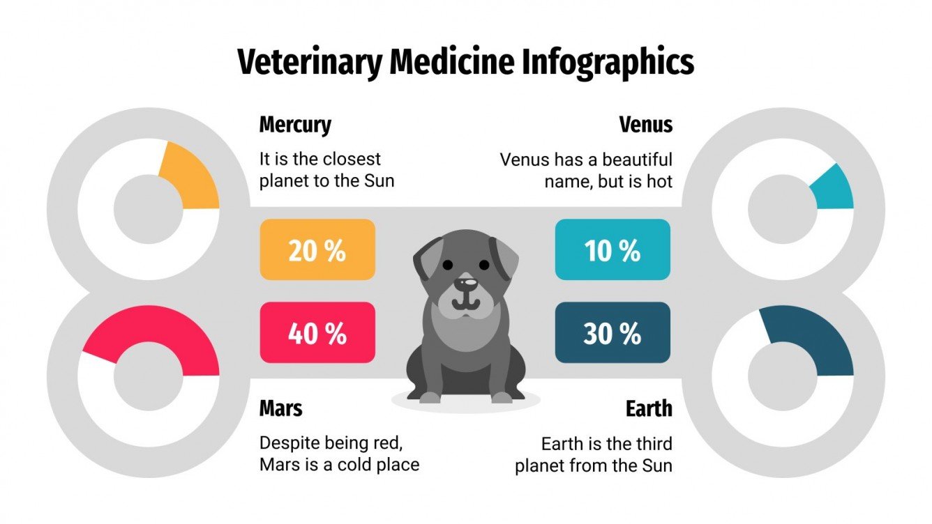 Veterinary Medicine Infographics Google Slides & PPT