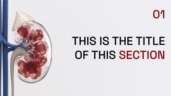 Sensibilisation à la santé rénale Modèles de présentation