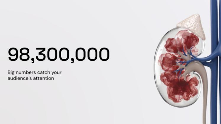 Sensibilisation à la santé rénale Modèles de présentation