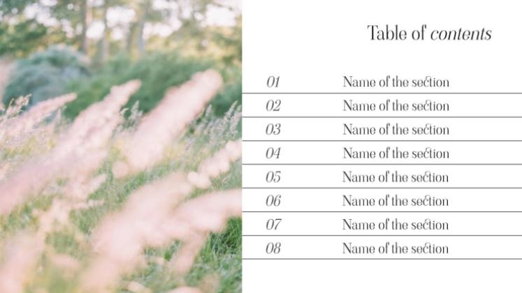 Informations sur l'épuisement professionnel lié au bien-être Modèles de présentation