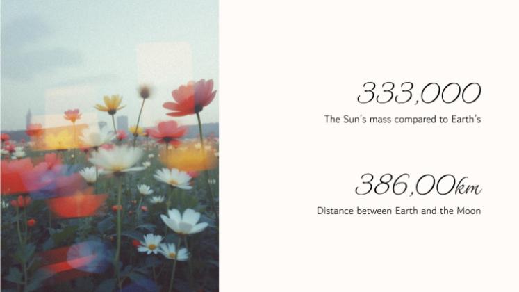 Botanische Ästhetik Präsentationsvorlage