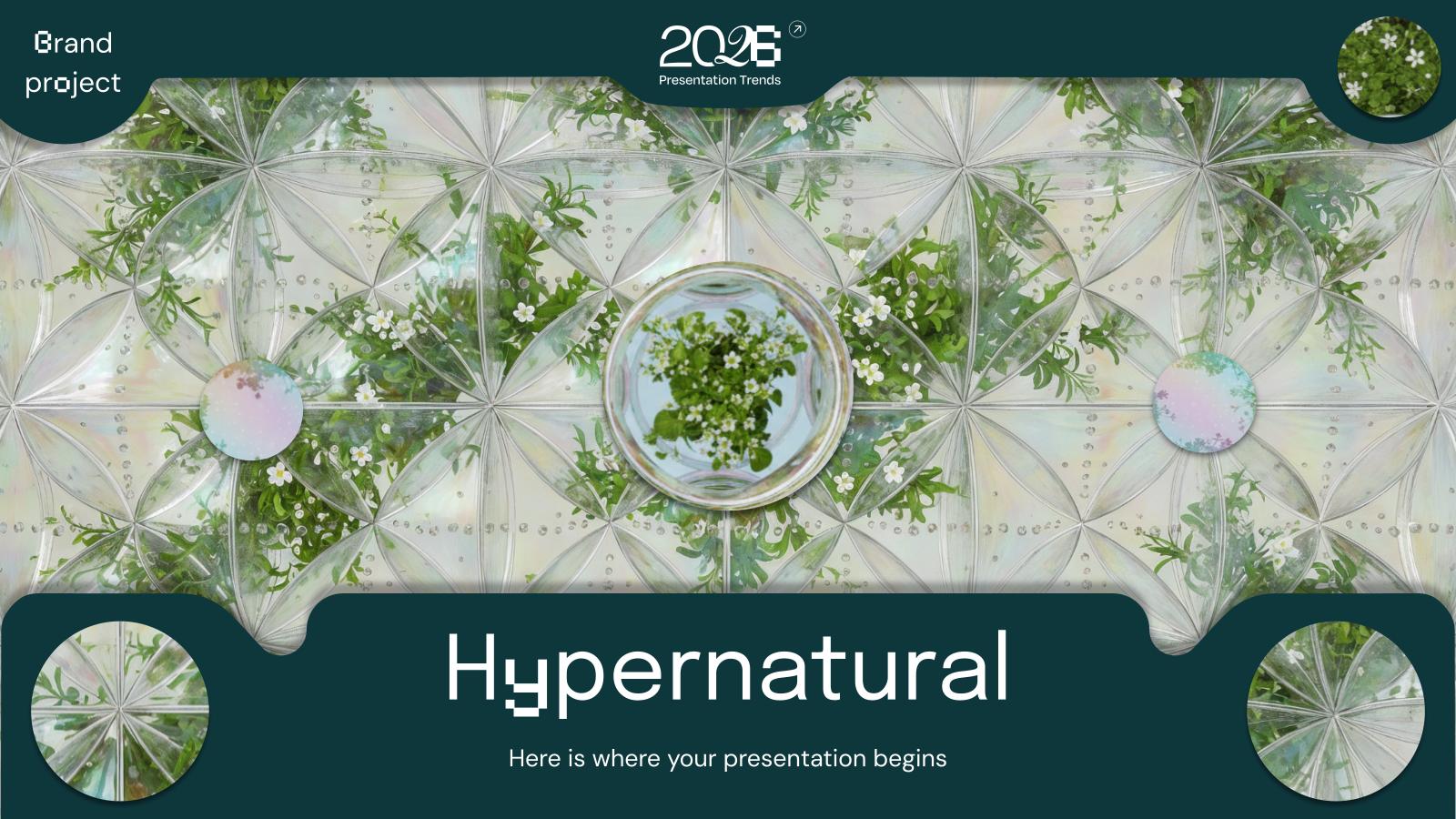 hypernatural1764845046.jpg