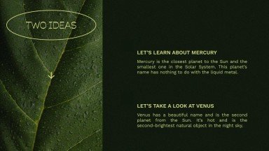 Plantilla de presentación Hojas verdes vibrantes