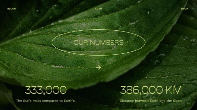 Plantilla de presentación Hojas verdes vibrantes