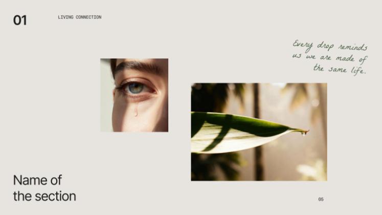 Plantilla de presentación Día Mundial de la Educación Ambiental