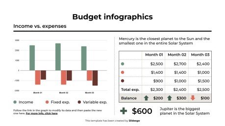 Budget Infographics presentation template 