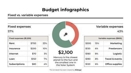 Budget Infographics presentation template 