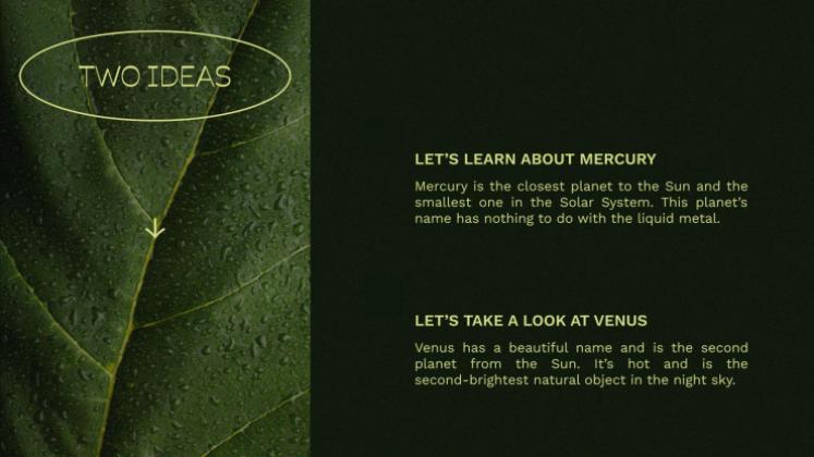 Plantilla de presentación Hojas verdes vibrantes