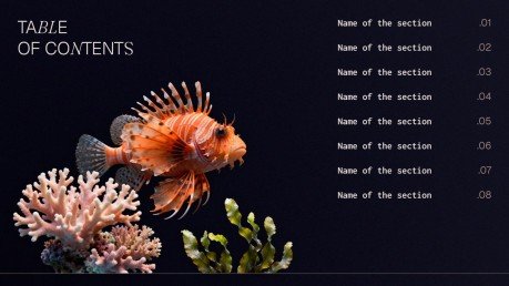 Plantilla de presentación Conservación de los océanos