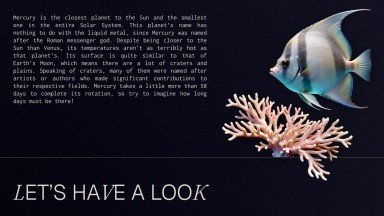 Plantilla de presentación Conservación de los océanos