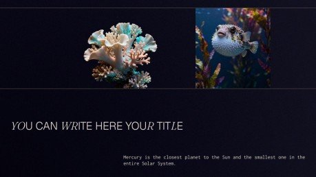 Plantilla de presentación Conservación de los océanos