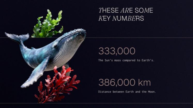 Meeresschutz Präsentationsvorlage