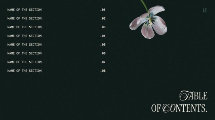 Esthétique botanique Modèles de présentation