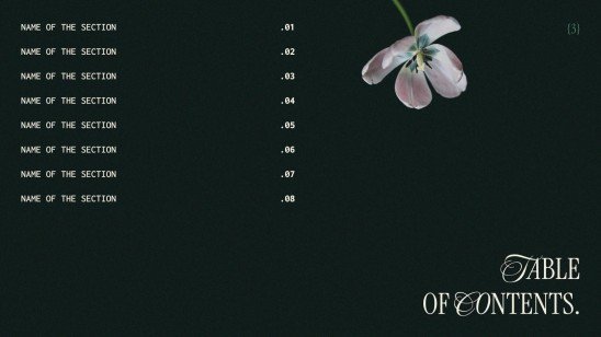 Esthétique botanique Modèles de présentation