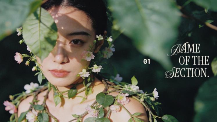 Esthétique botanique Modèles de présentation