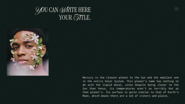 Esthétique botanique Modèles de présentation