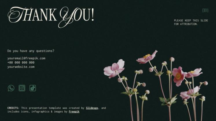 Esthétique botanique Modèles de présentation