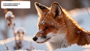 Plantilla de presentación Lo más destacado de los eventos de invierno